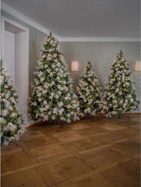 Actual product image STT LED Frosted Tree (180 cm)