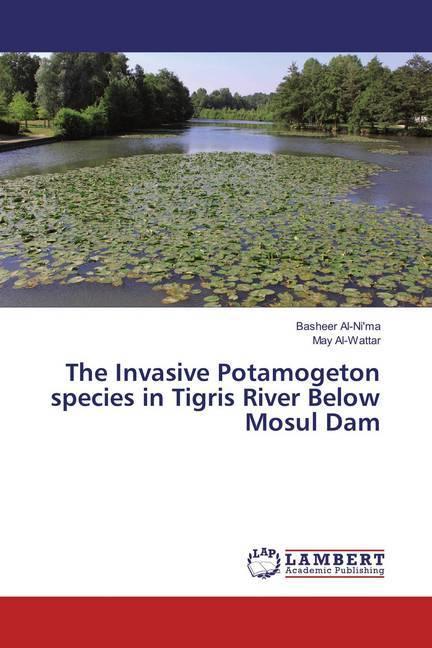 Immagine prodotto The Invasive Potamogeton species in Tigris River Below Mosul Dam (Tedesco, Maggio Al-Wattar, 2018)