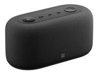 Actual product image Microsoft Audio Dock (USB-C, 5 Ports)