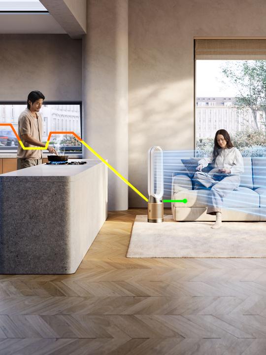 Produktbild Dyson Purifier Cool PC2 De-NOx