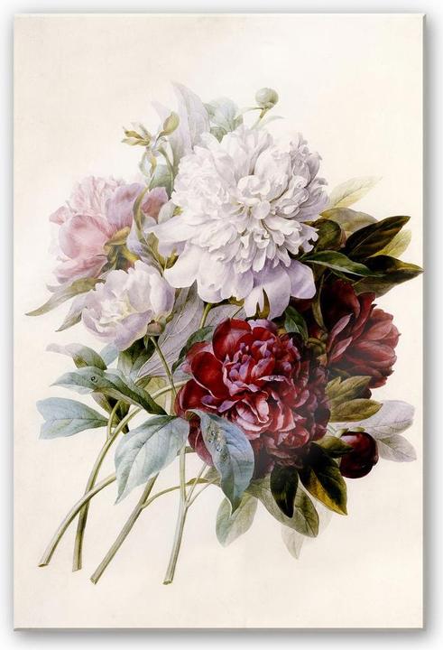 Image du produit Trenddeko Redouté - bouquet de pivoines rouges, violettes et blanches (40 x 60 cm)