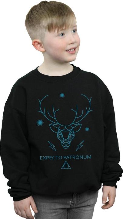 Actual product image Boys Expecto Patronum Sweatshirt (116)