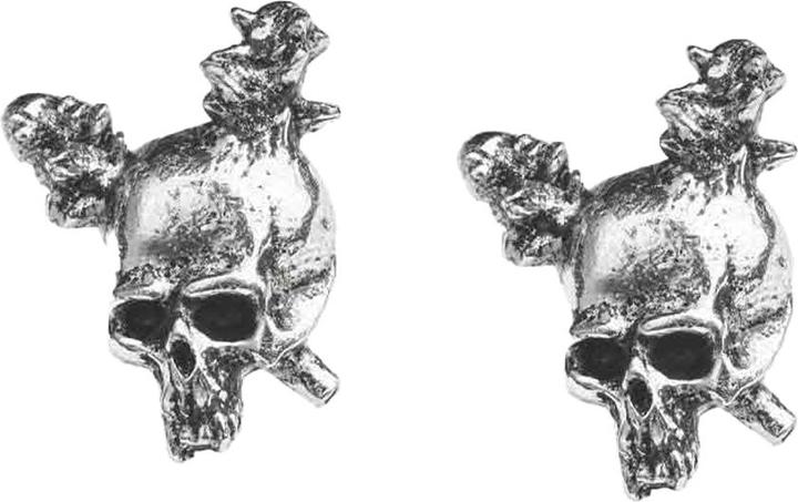 Immagine prodotto Metallica Damage Inc. Skull Orecchini (100% materiale sintetico)