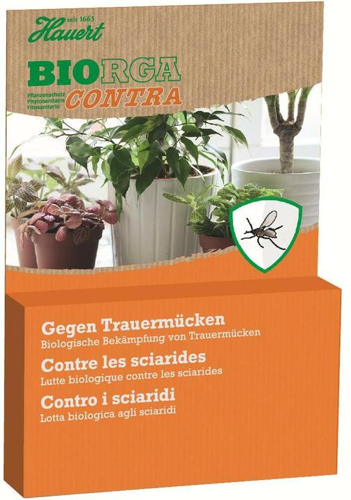 Hauert moscerini dei funghi stop (Moscerini)