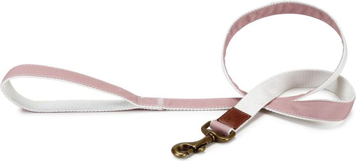 Immagine prodotto Designed by Lotte Virante (L, Cane, Passeggiare)