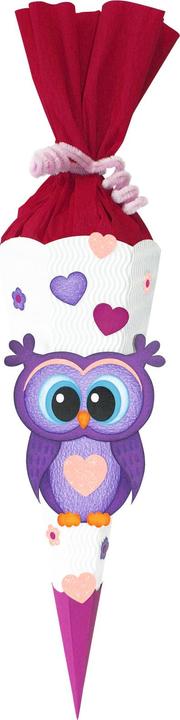 Actual product image Ursus Sibling School Cone Craft Set "Owl (68 cm, 1 x)