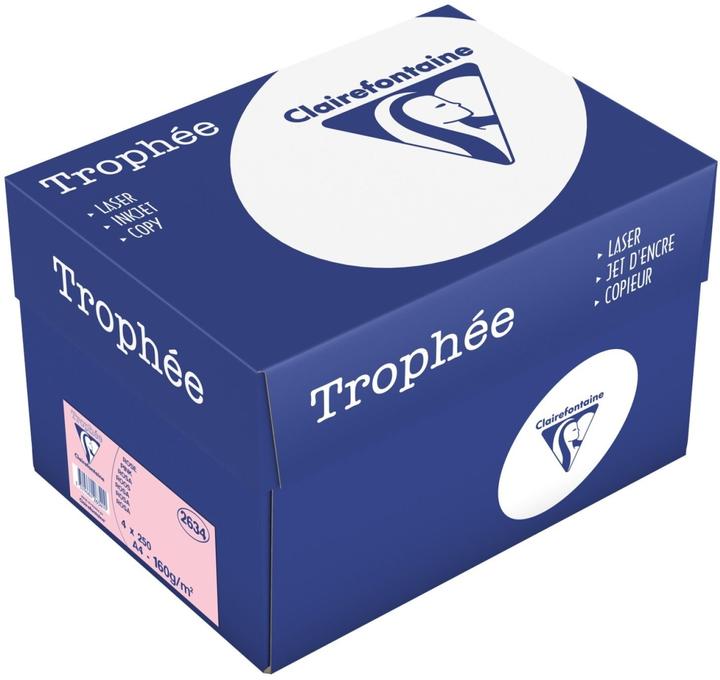 Immagine prodotto Clairefontaine Carta universale Trophée colorata (160 g/m², 250 x, A4)