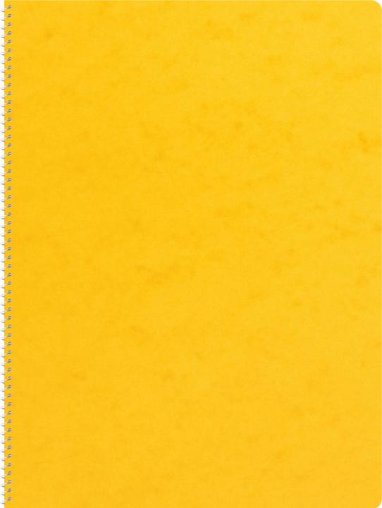 Actual product image Novooo Spiralheft assortiert (A4, Checked)