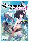 Image du produit Reincarnated as a Sword (Light Novel) Vol. 15 (Anglais, Llo, Yuu Tanaka, 2024)