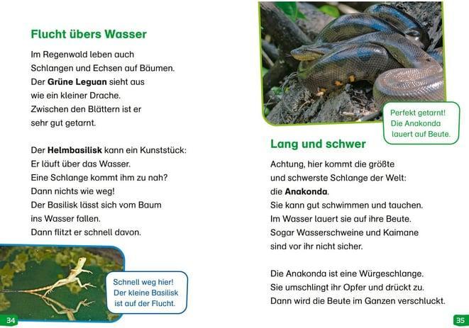 Actual product image Tessloff WAS IST WAS Erstes Lesen easy! Band 18. Tiere im Regenwald (German, Sonja Meierjürgen, Marie Gerstner, 2024)