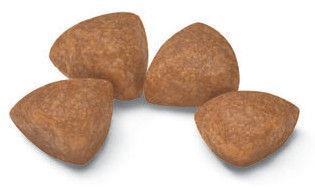 Immagine prodotto Royal Canin X-Small Junior (Junior, 1 pz., 500 g)