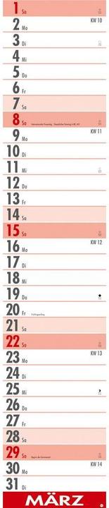 Energy Label Supermemo Kalender 2026 (17 x 85 cm, Hardcover, German)