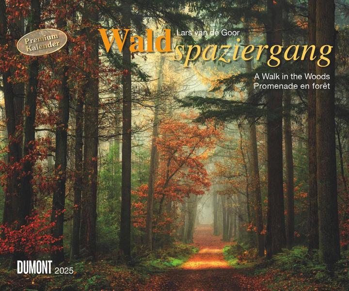 Image du produit Promenade en forêt 2025 - Calendrier photo d'art - Format paysage 60 x 50 cm - Reliure spirale (Couverture rigide, Allemand)
