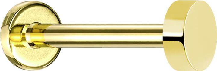 Actual product image Star Piercing Micro Labret Innengewinde vergoldet mit flachem Zylinder (without brass, Titanium G23)