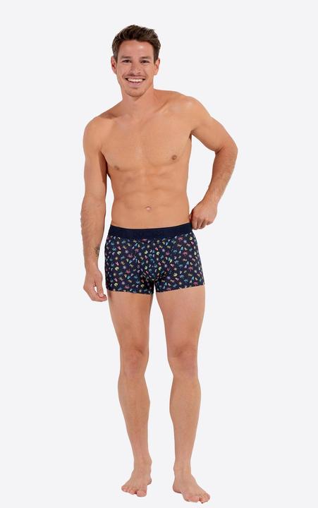 Immagine prodotto HOM Retro Boxer California HO1 (L, Confezione singola)