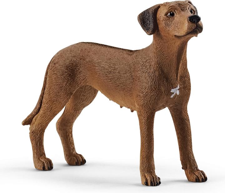 Image du produit Schleich Rhodesian Ridgeback