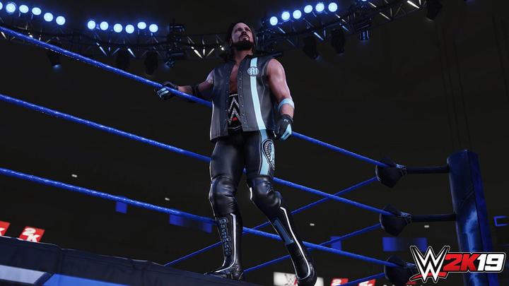 Actual product image 2K Games WWE 2K19 (PS4, Multilingual)