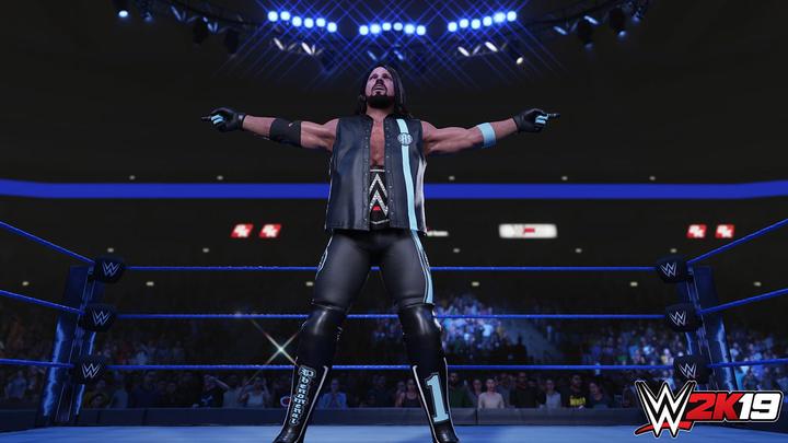 Actual product image 2K Games WWE 2K19 (PS4, Multilingual)