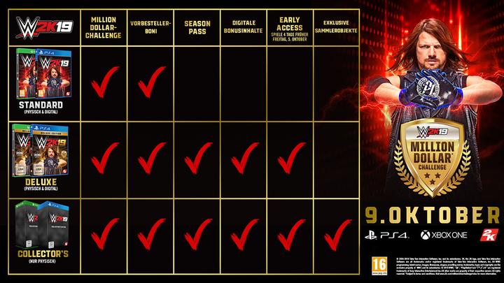 Actual product image 2K Games WWE 2K19 (PS4, Multilingual)