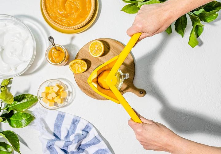 Actual product image DreamFarm Fluicer Saftpresse Lemon