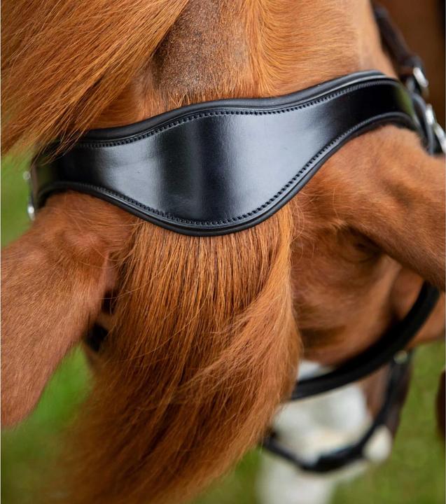 Produktbild Premier Equine Glorioso