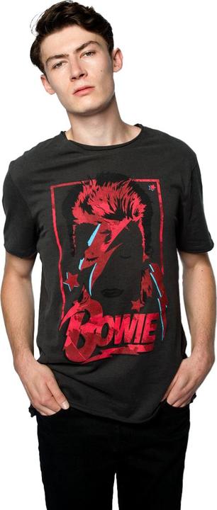 Produktbild Amplified Aladdin Sane TShirt (XXL)