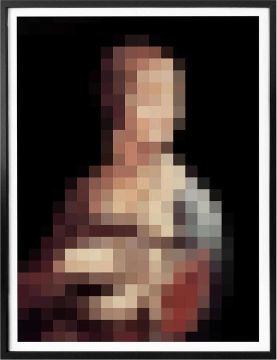 Image du produit Trenddeko Pixelart - da Vinci - La dame à l'hermine (50 x 60 cm)