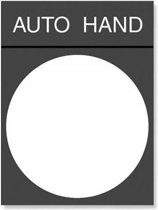 Image du produit Schneider Electric Plaque d'identification Auto-Hand