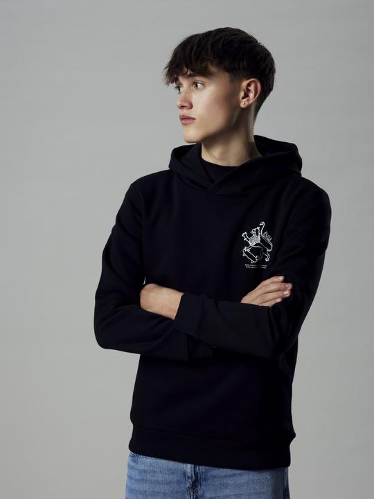 Produktbild Lmtd Loose Fit Hoodie (170)