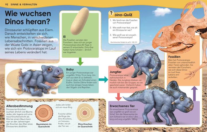 Image du produit Weshalb? Deshalb! Dinos (Allemand, Nicholas St Fleur, 2020)