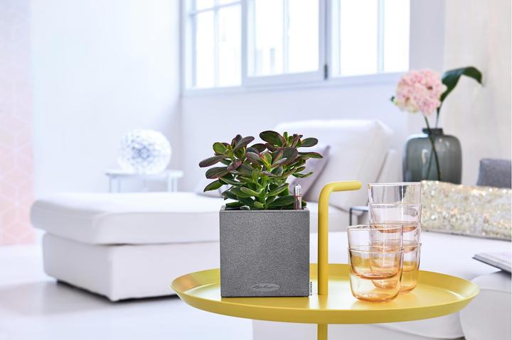 Image du produit Lechuza Canto Stone 14 (14 cm)
