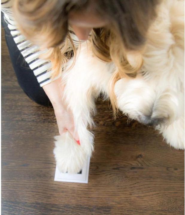 Actual product image Pearhead Stamp pads