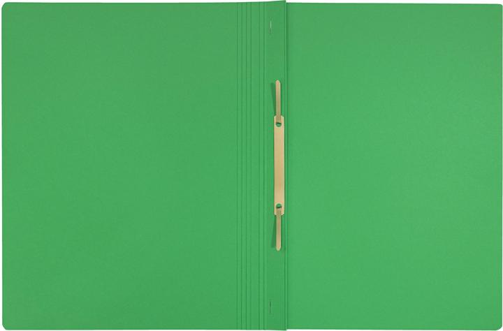 Actual product image Leitz Recycle A4 green loose-leaf binder, 10 pieces (A4, 10 x)