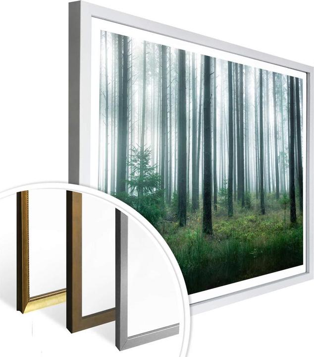 Actual product image Trenddeko In the forest (100 x 80 cm)