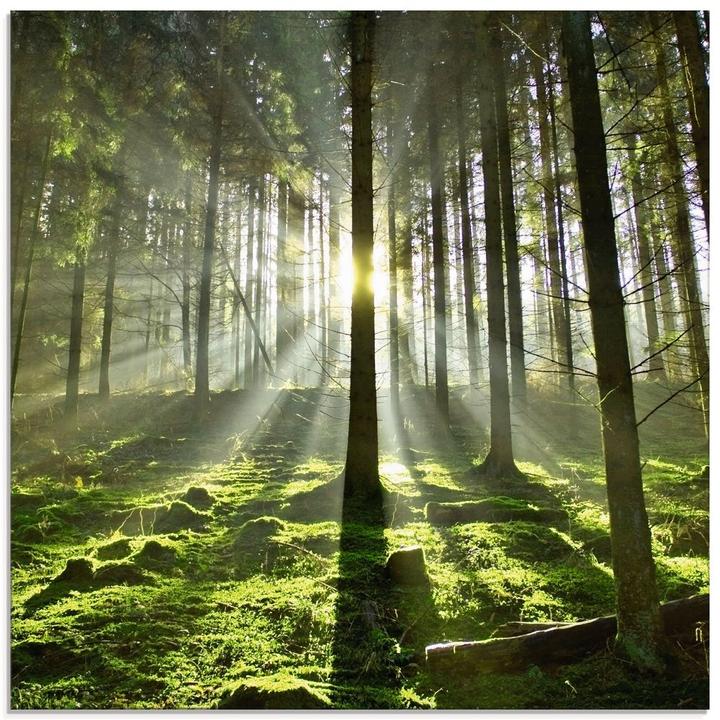 Actual product image Artland Glass picture Forest backlit T5SV (30x30 cm)