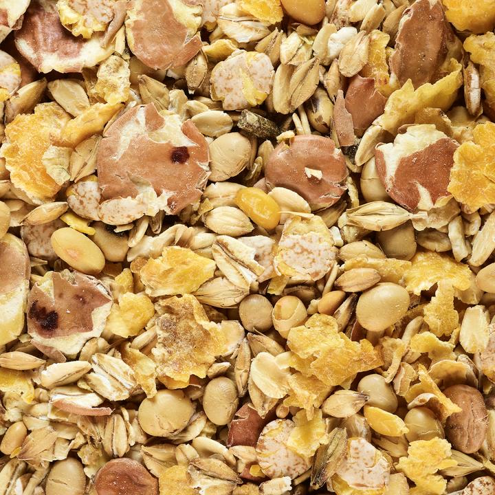Image du produit Caperlan Graine toastées 5kg pour la pêche de la carpe