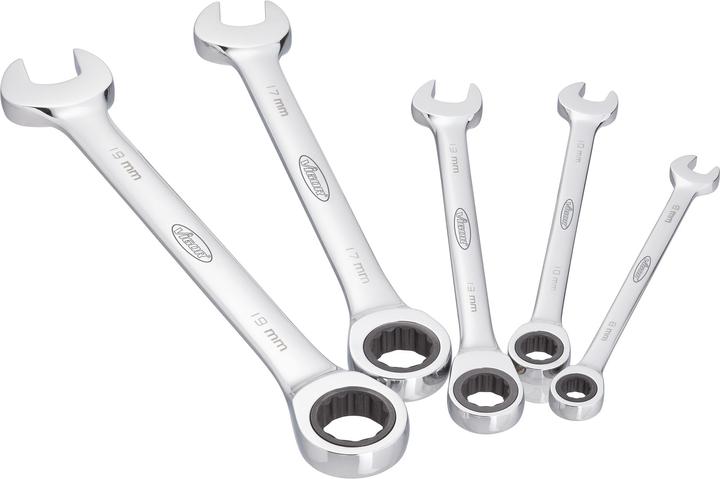 Vigor Knarren-Ring-Maulschlüssel-Sat (8 mm, 10 mm, 13 mm, 17 mm, 19 mm)