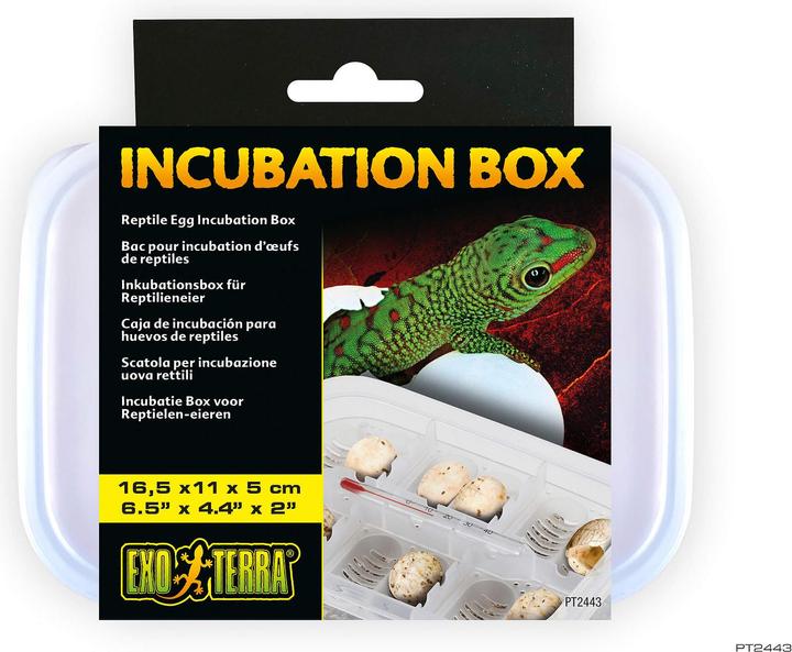 Image du produit Exo Terra Boîte d'incubation