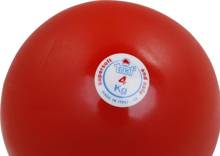 Actual product image Trial Shock ball (4000 g)