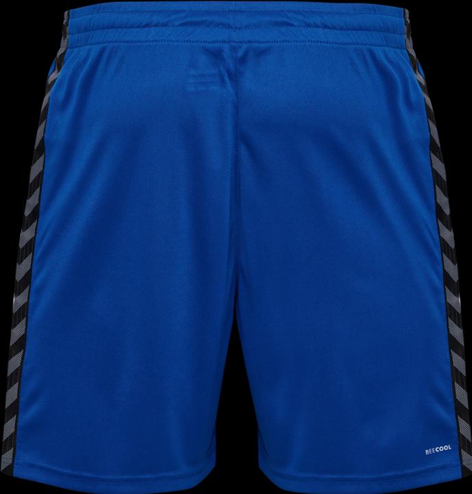 Image du produit hummel Hmlauthentic Pl Shorts (XL)