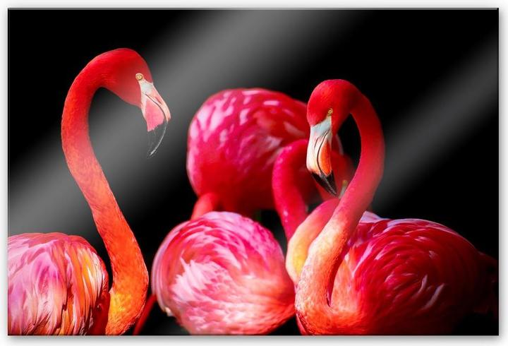 Actual product image Trenddeko Pink Flamingo (60 x 40 cm)