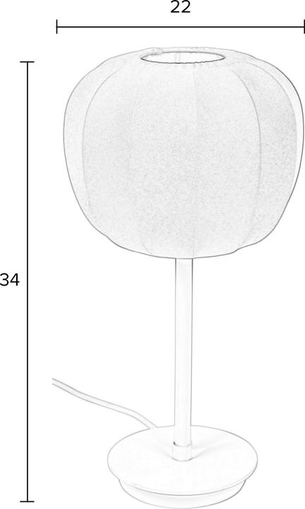 Actual product image Zuiver Lamp (E27)