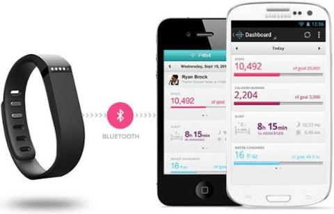 Produktbild Fitbit Flex (14 mm)