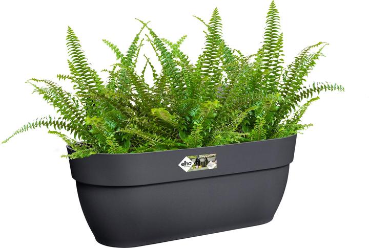 Produktbild Elho Vibia Campana Easy (46 cm)
