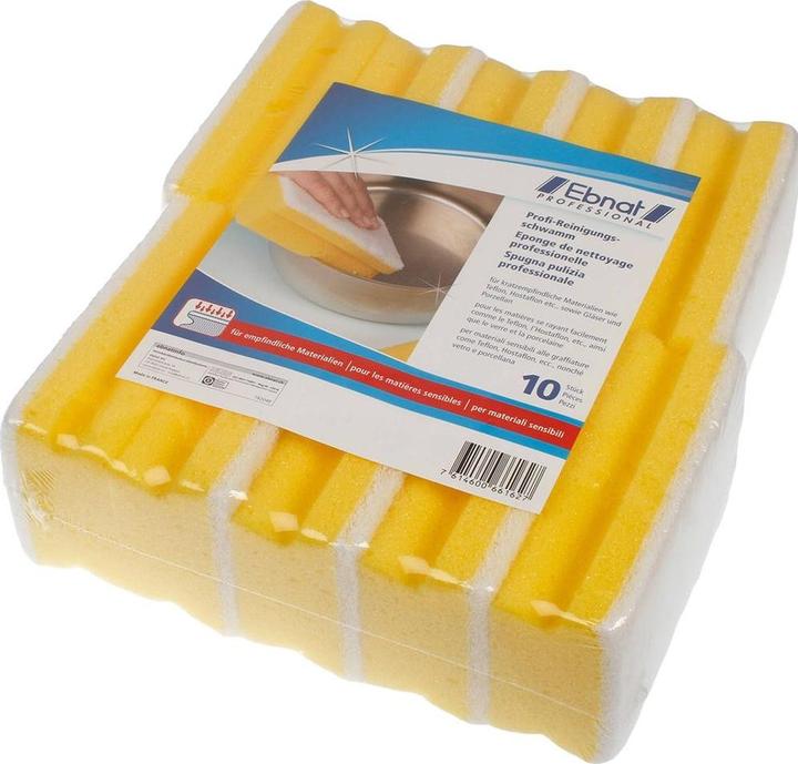 Ebnat Reinigungsschwamm Profi (10 Stk.)