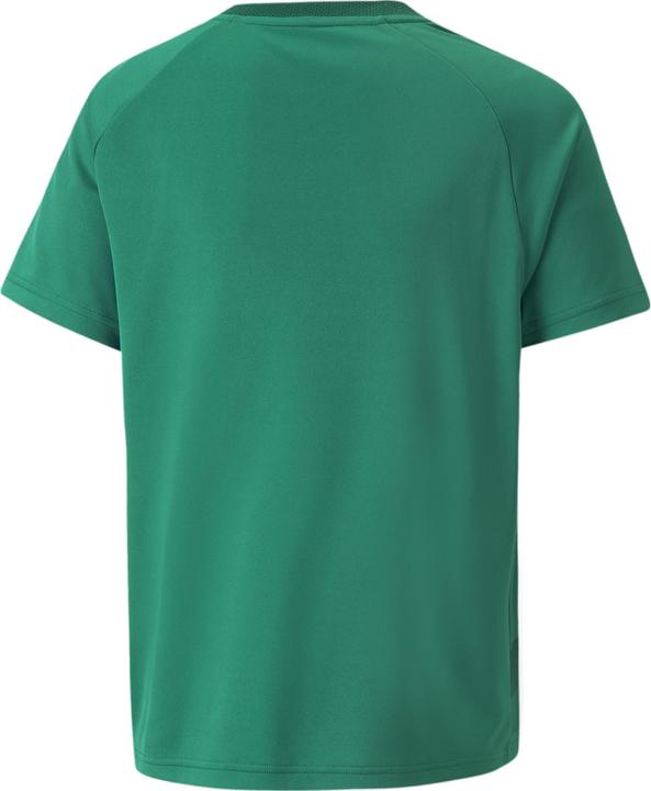 Actual product image Puma teamVISION Jersey Jr-704928 (140)