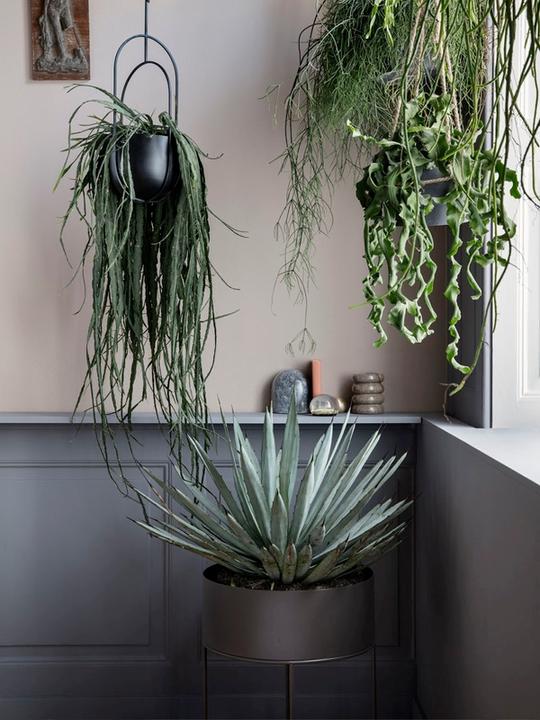 Immagine prodotto Ferm Living Scatola per piante