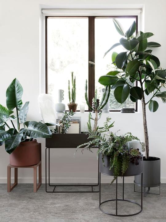 Immagine prodotto Ferm Living Scatola per piante