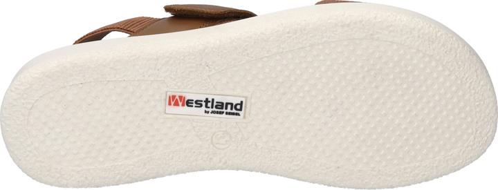 Image du produit Westland 25407-410 (38)