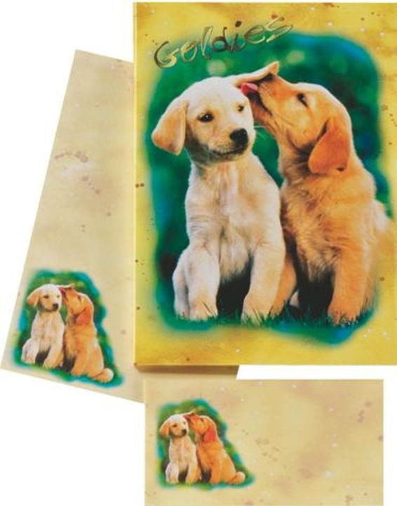 Image du produit Roost Papier/enveloppes Goldies 180350 80g, beige/jaune 2x10 pièces (80 g/m², 20 x)